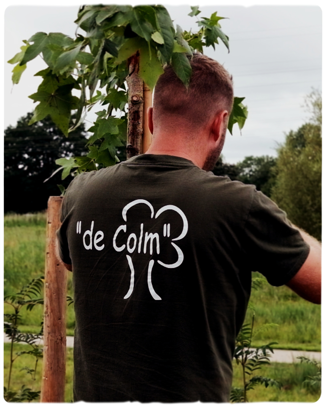 Hoveniersbedrijf de Colm logo